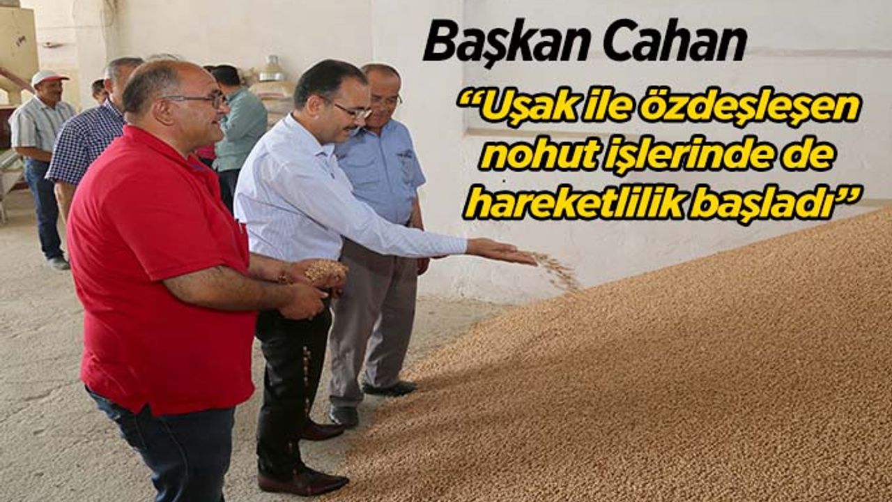 Başkan Cahan, “Uşak ile özdeşleşen nohut işlerinde de hareketlilik başladı”