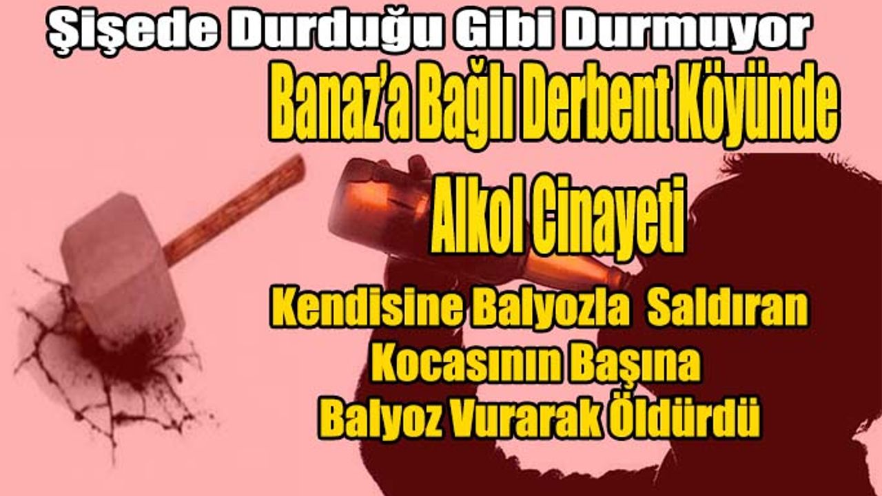 Derbent Köyünde Alkol Cinayeti, eşini balyoz ile öldürdü