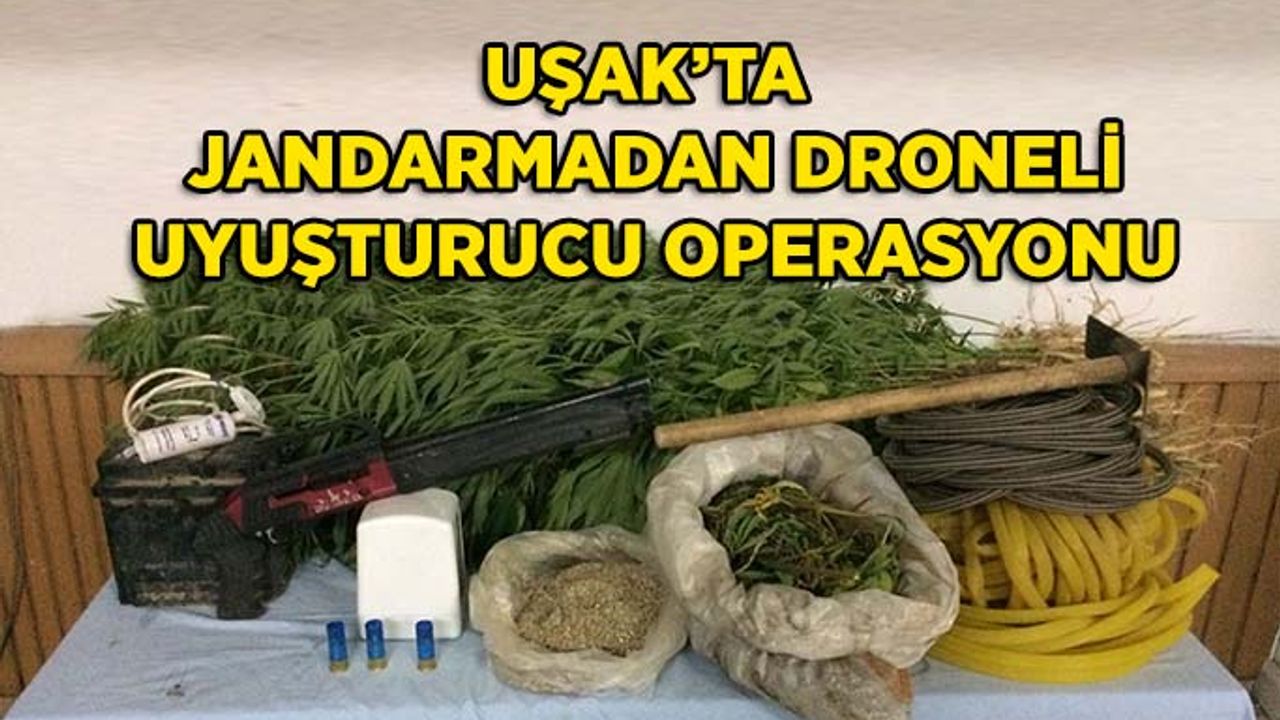 Uşak’ta Jandarmadan Drone Destekli Uyuşturucu Operasyonu