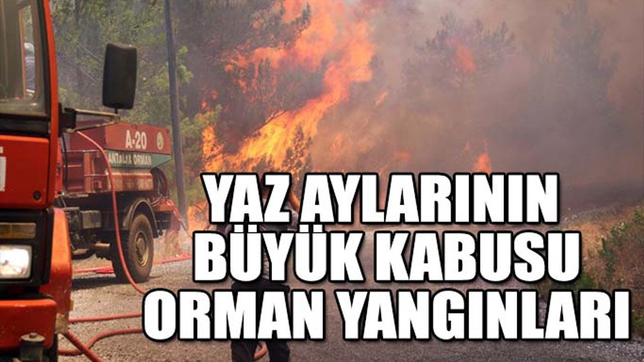 Yaz Aylarının Büyük Kabusu Orman Yangınları