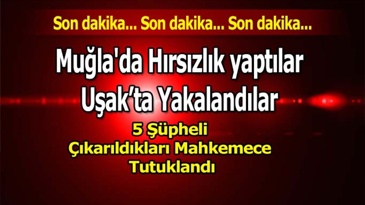 Muğla'da Hırsızlık yaptılar Uşak’ta Yakalandılar