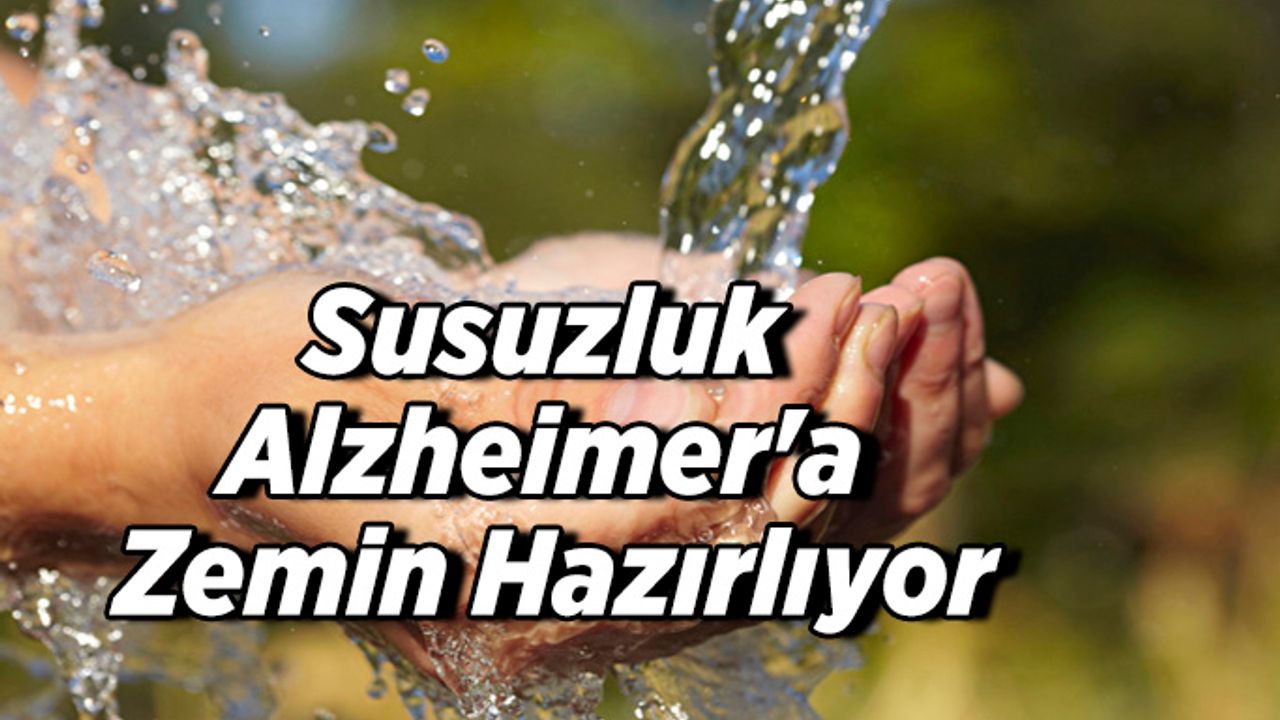 Susuzluk Alzheimer'a zemin hazırlıyor