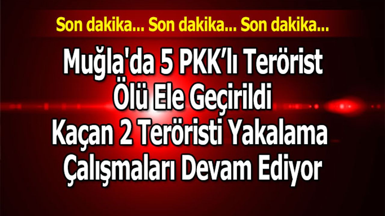 Muğla'da 5 PKK’lı terörist etkisiz hale getirildi