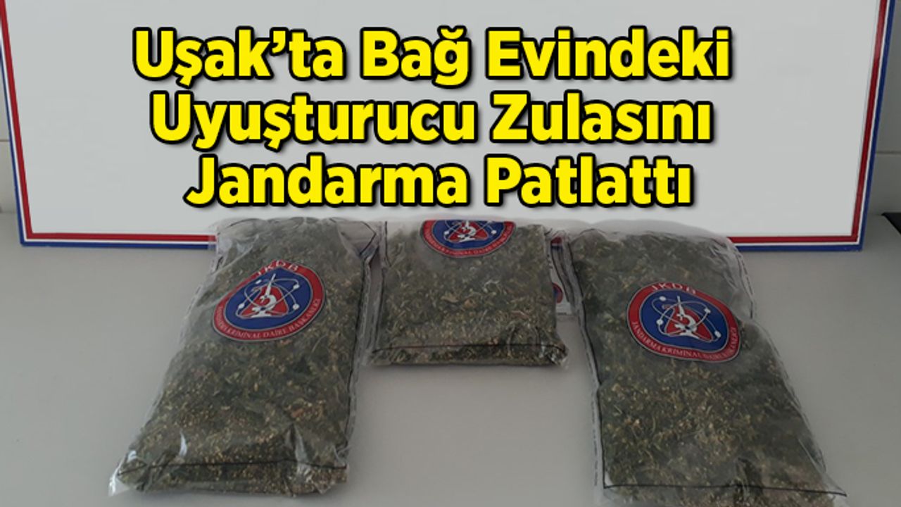 Uşak’ta Bağ Evindeki Uyuşturucu Zulasını Jandarma Patlattı
