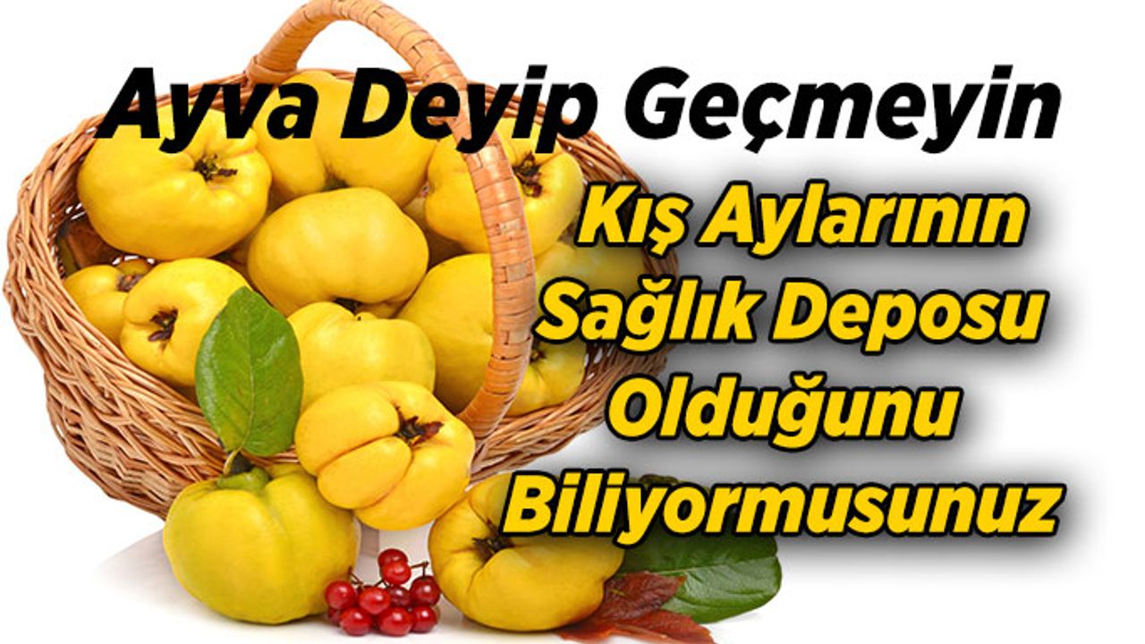Ayvanın  Kış Aylarının Sağlık Deposu Olduğunu Biliyormusunuz
