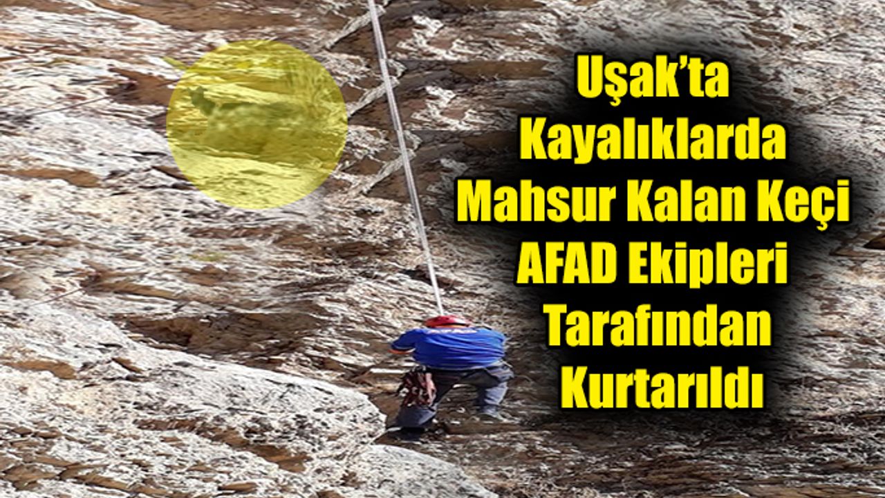 Uşak’ta Kayalıklarda Mahsur Kalan Keçi AFAD Ekipleri Tarafından Kurtarıldı