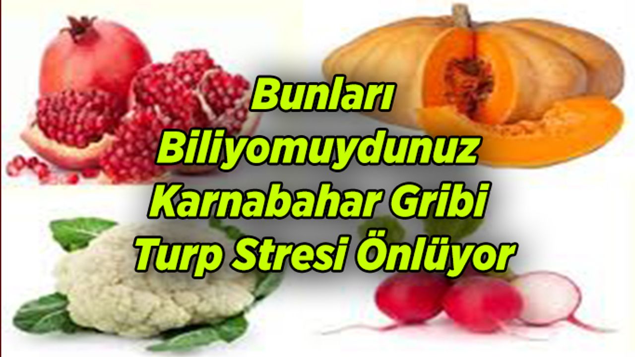 Bunu biliyomuydunuz; Karnabahar Gribi, Turp Stresi Önlüyor