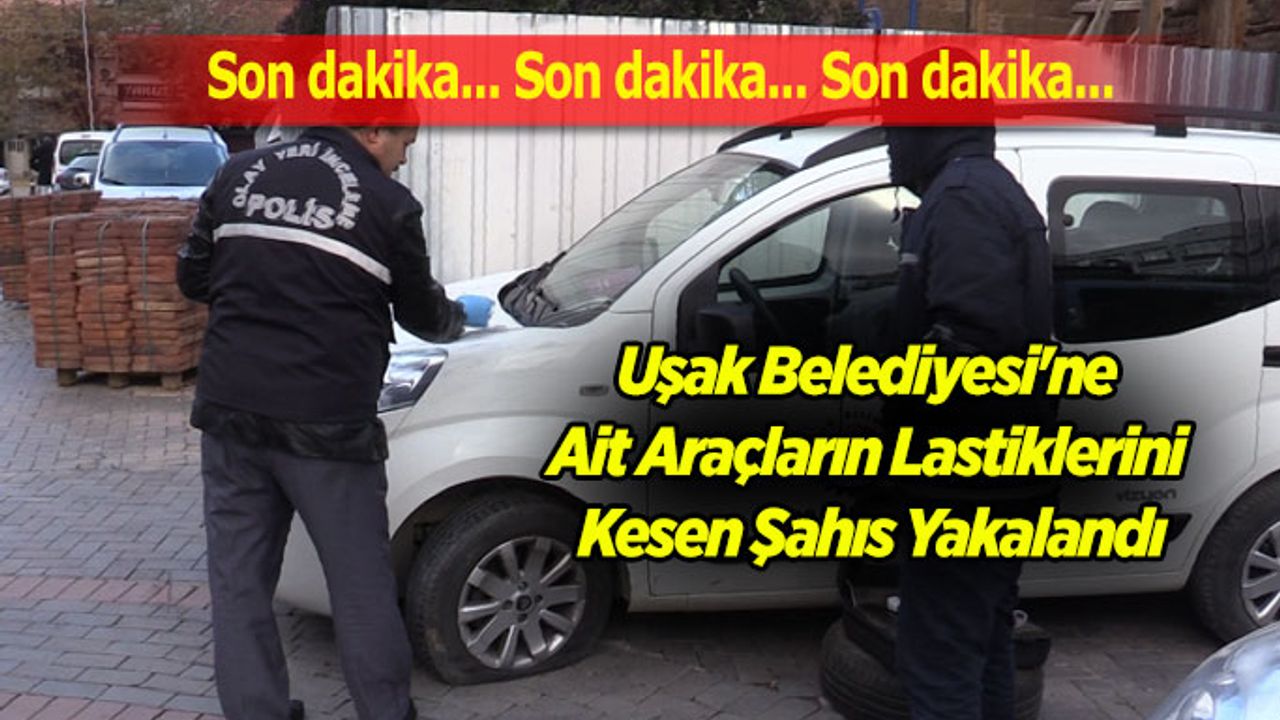 Uşak Belediyesi'ne Ait Araçların Lastiklerini Kesen Şahıs Yakalandı