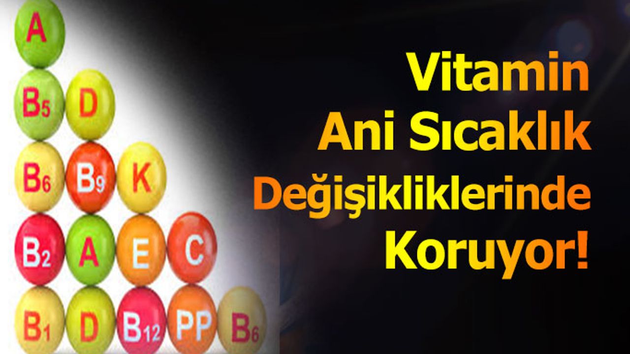 Vitamin, Ani Sıcaklık Değişikliklerinde Koruyor!