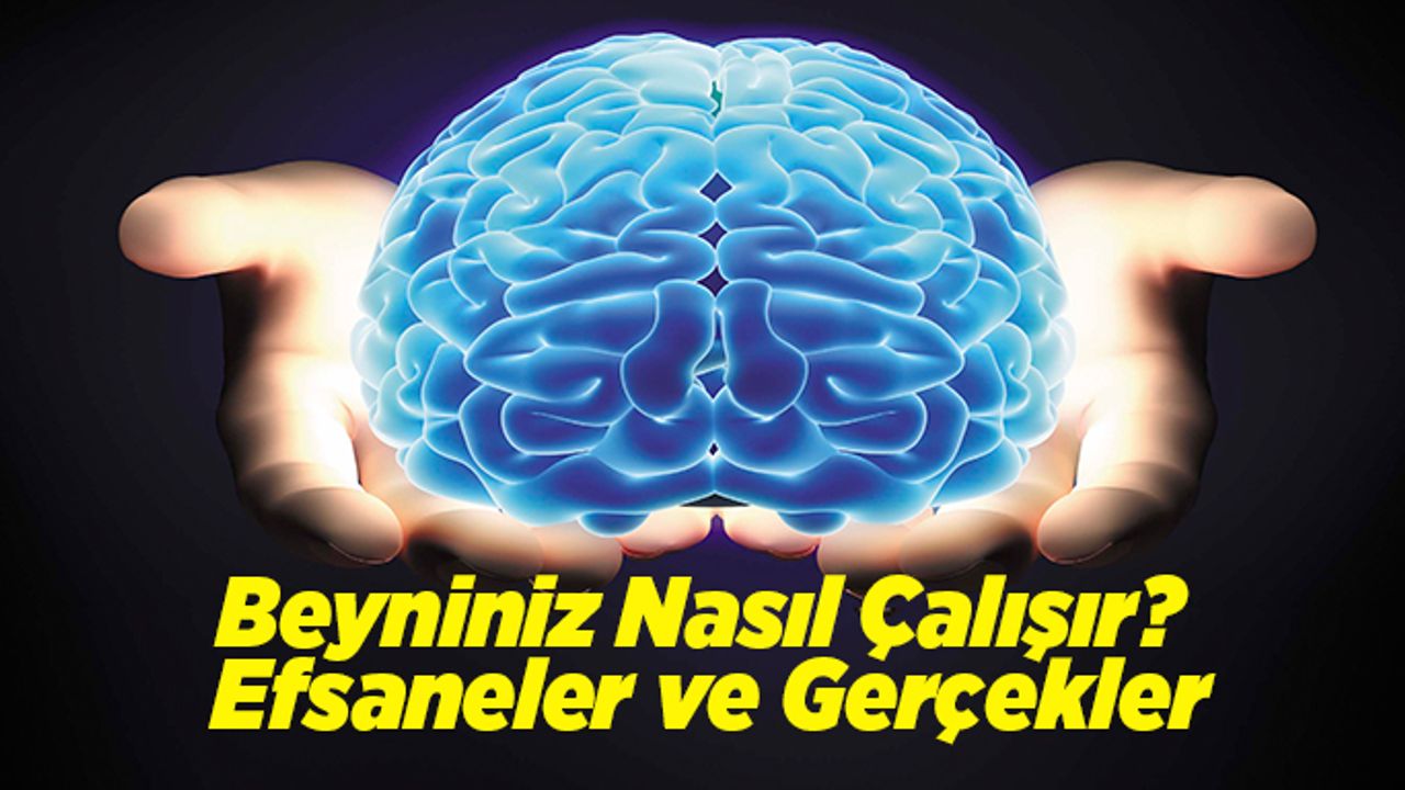 Beyniniz Nasıl Çalışır? Efsaneler ve Gerçekler