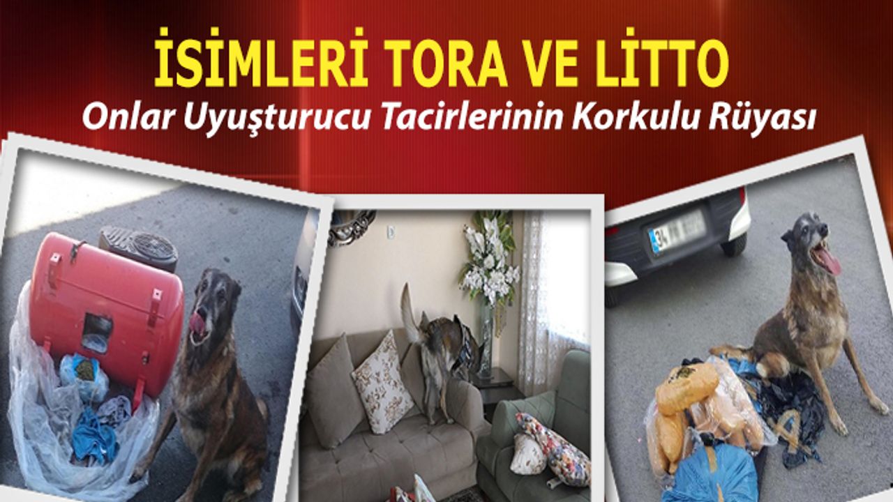 Onlar Uyuşturucu Tacirlerinin Korkulu Rüyası TORA ve LİTTO