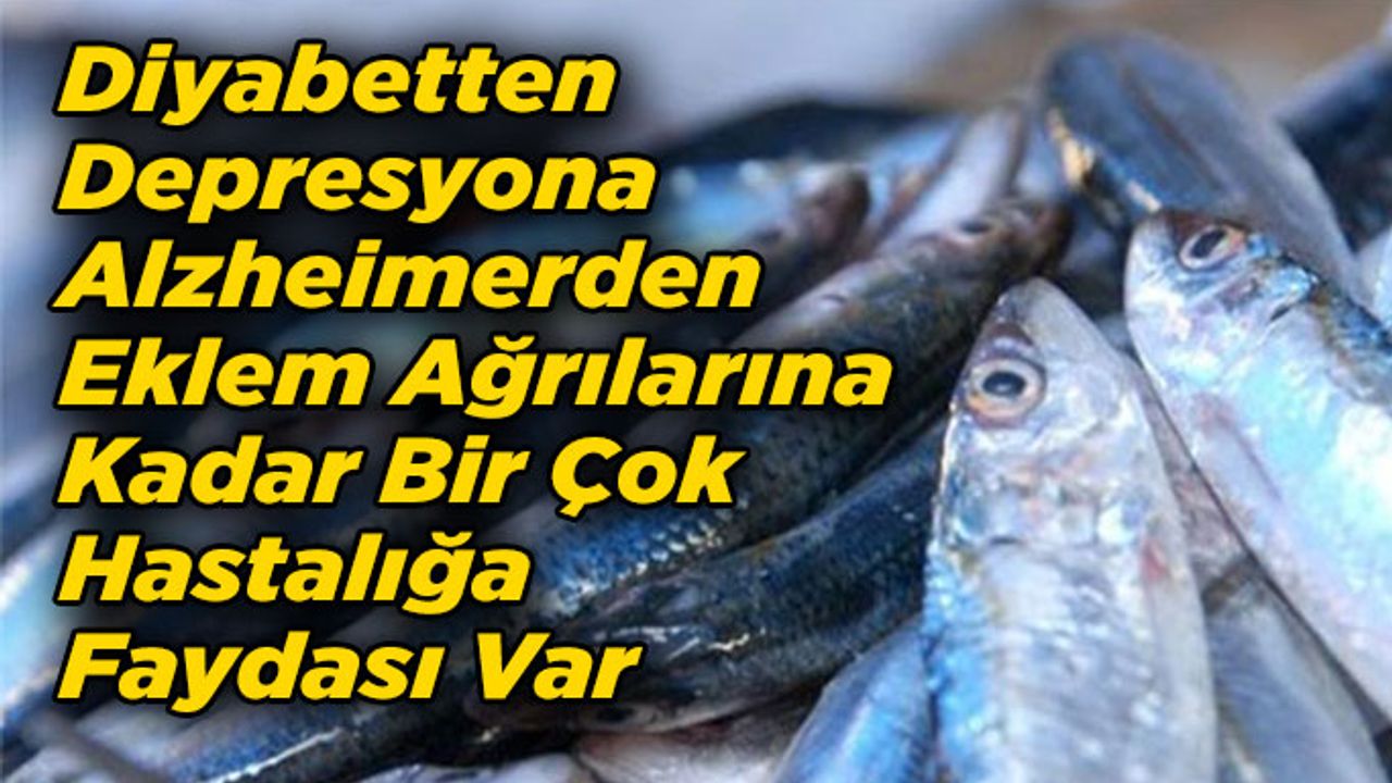 Balık Tüketmek İçin 10 Nedeniniz Var