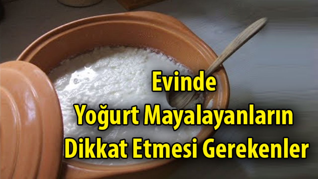 Evinde Yoğurt Mayalayanların Dikkat Etmesi Gerekenler