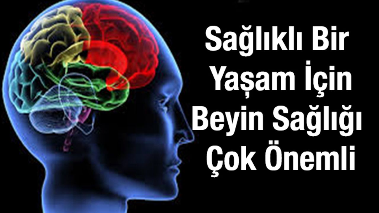 Sağlıklı Bir Yaşam İçin Beyin Sağlığı Çok Önemli