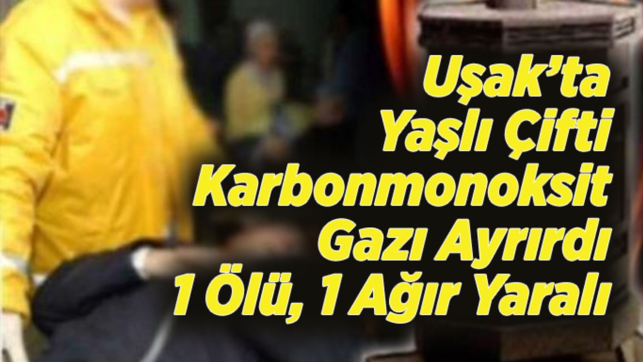 Yaşlı çift sobadan zehirlendi, 1 ölü