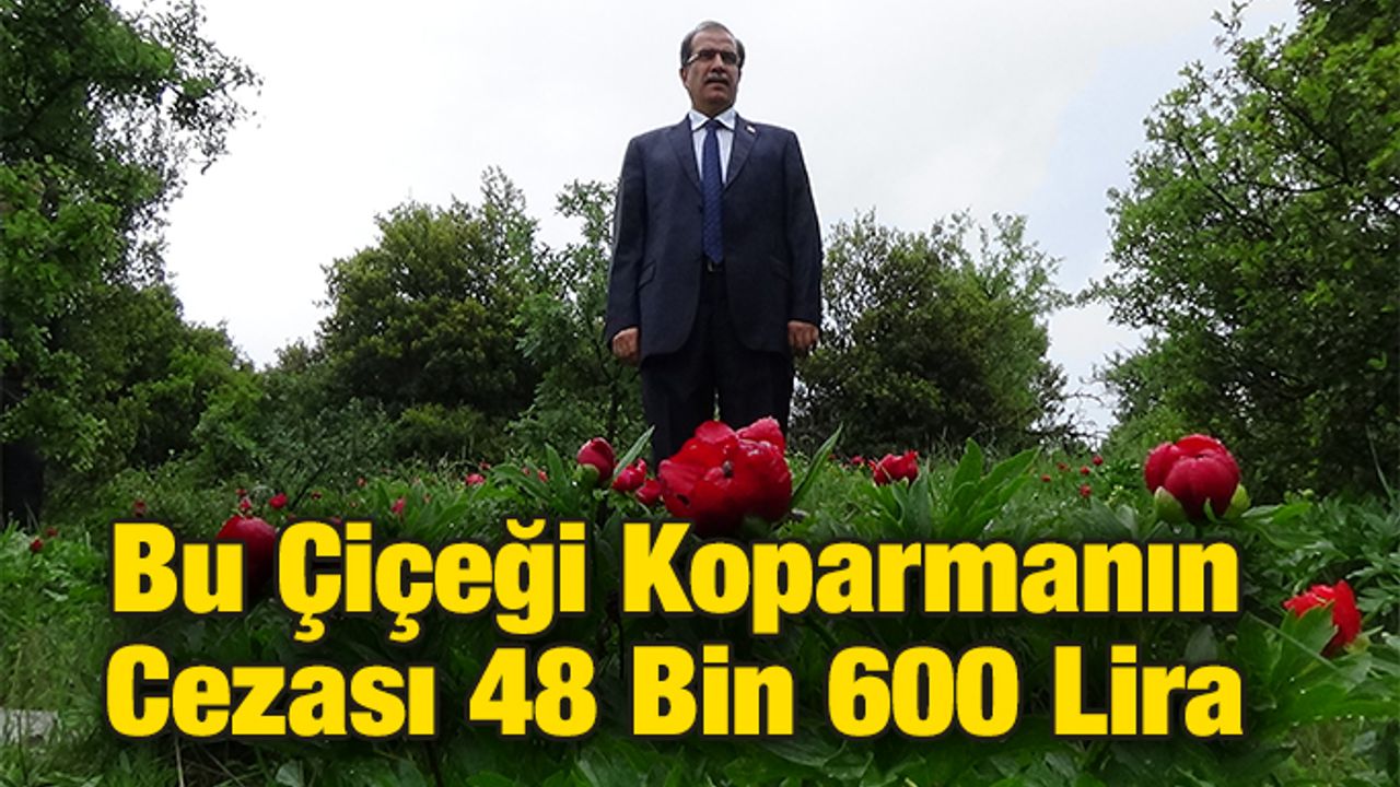 Bu Çiçeği Koparmanın Cezası 48 Bin 600 Lira
