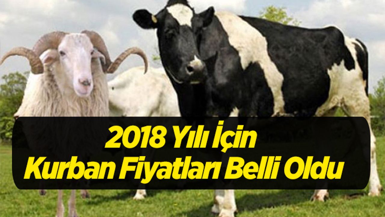 2018 yılı İçin Kurban Fiyatları Belli Oldu