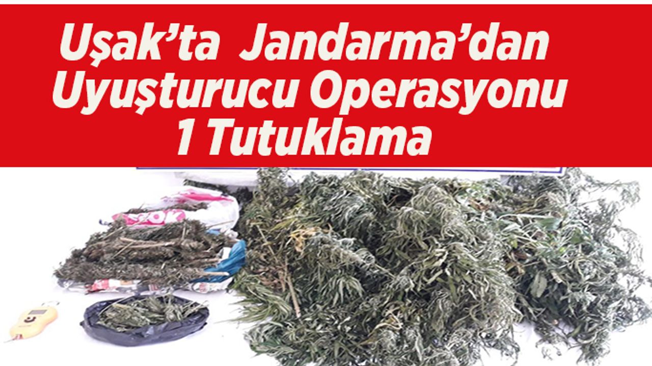 Uşak’ta  Jandarma’dan Uyuşturucu Operasyonu, 1 Tutuklama