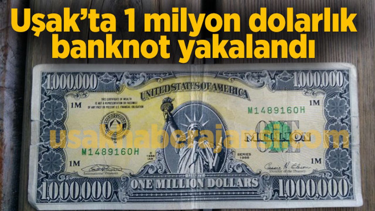 Uşak'ta 1 milyon dolarlık banknot yakalandı