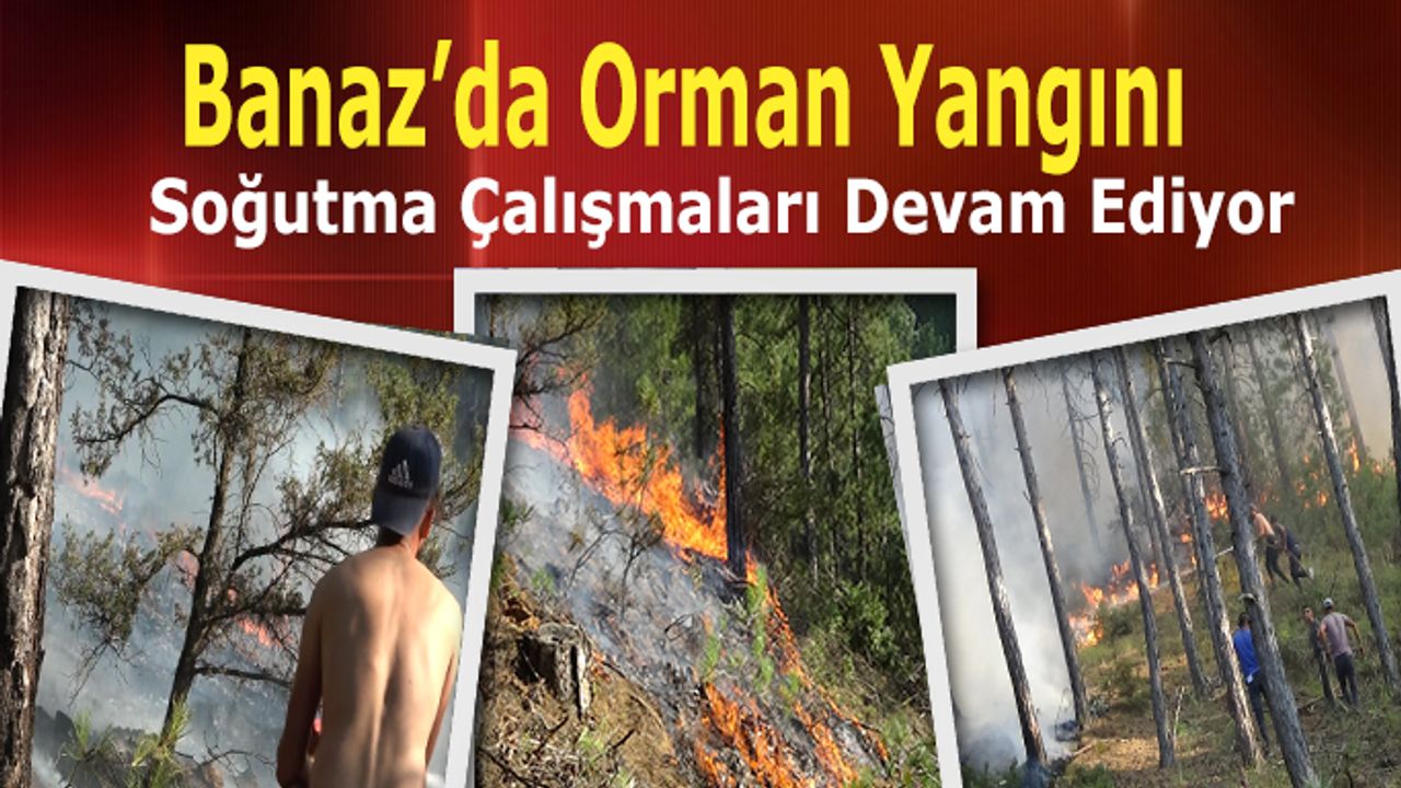 Banaz’da ki orman yangını soğutma çalışmaları devam ediyor