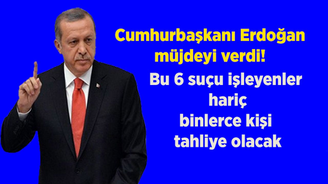 Erdoğan müjdeyi verdi! Bu 6 suçu işleyenler hariç, binlerce kişi tahliye olacak