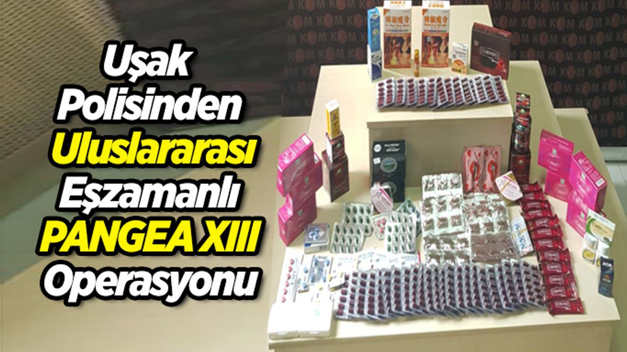 Uşak Polisinden Uluslararası PANGEA XIII Operasyonu