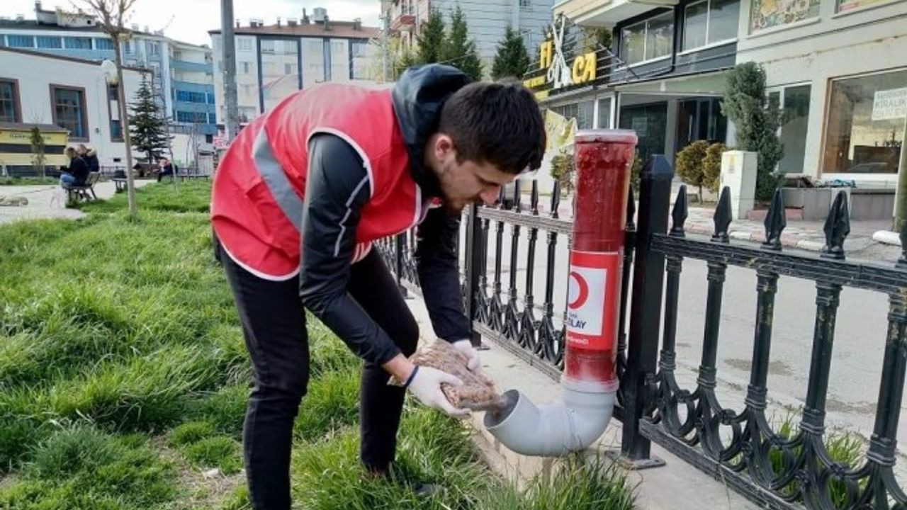 Kızılayın genç gönülleri aç kalan sokak hayvanlarına sahip çıktı