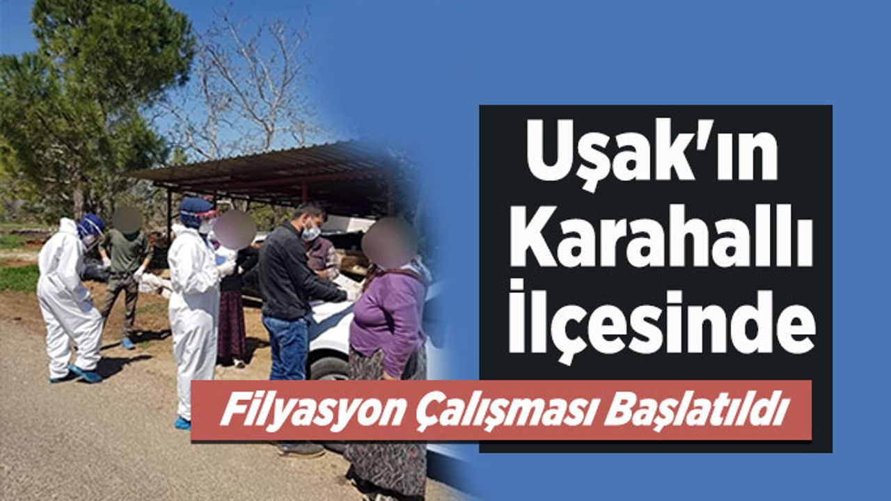 Uşak'ın Karahallı İlçesinde Filyasyon Çalışması Başlatıldı