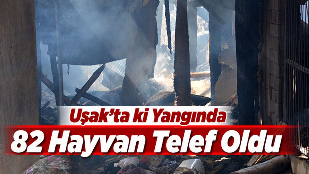 Uşak’ta ki Yangında 82 Hayvan Telef Oldu