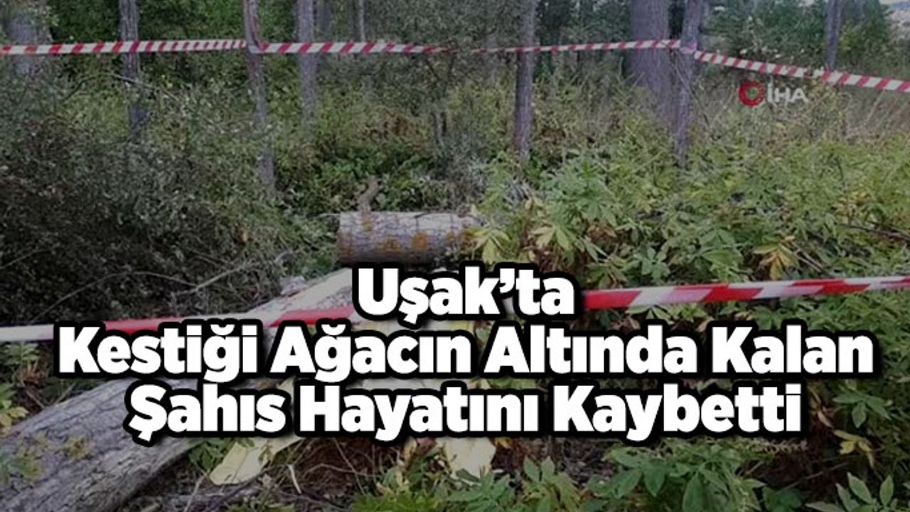 Uşak’ta Kestiği Ağacın Altında Kalan Şahıs Hayatını Kaybetti