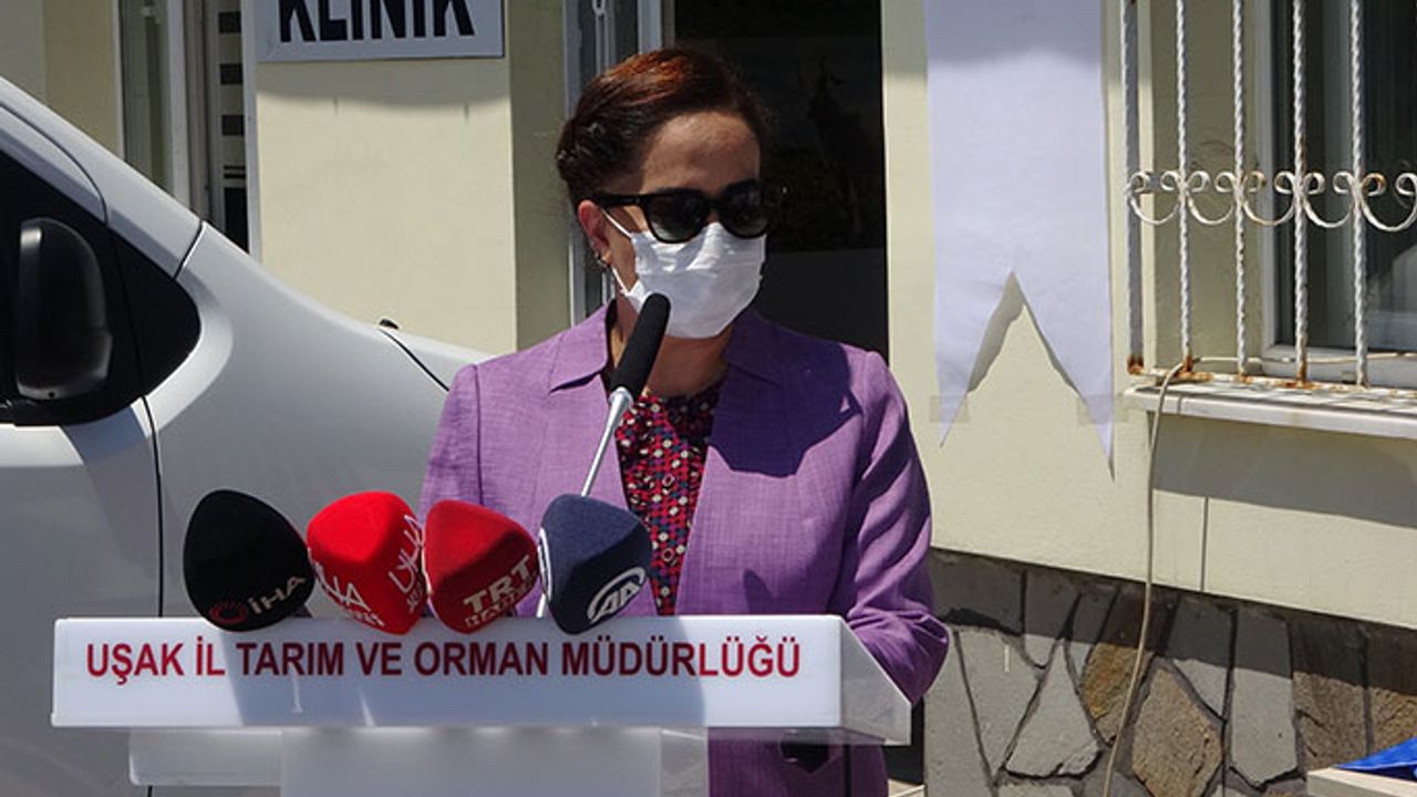 Uşak’ta hayvan ölümlerini azaltmaya yönelik projeler tanıtıldı