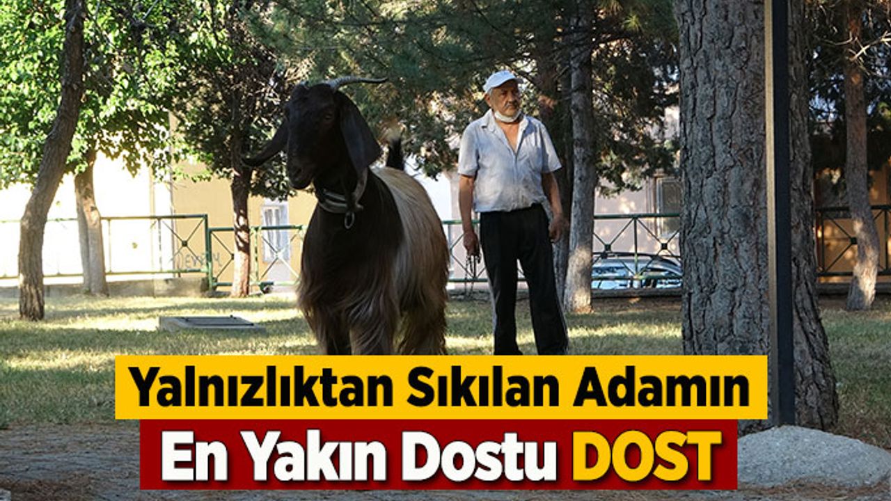 Yalnızlıktan Sıkılan Adamın En Yakın Dostu DOST