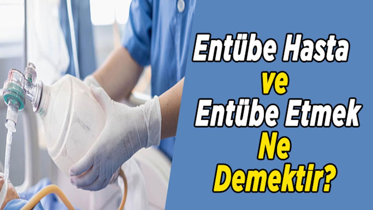 Entübe Hasta Ve  Entübe Etmek Ne Demektir?