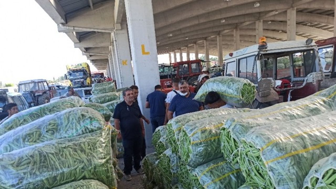 Fasulye üreticisinin yüzü fiyatların yükselmesi ile gülmeye başladı