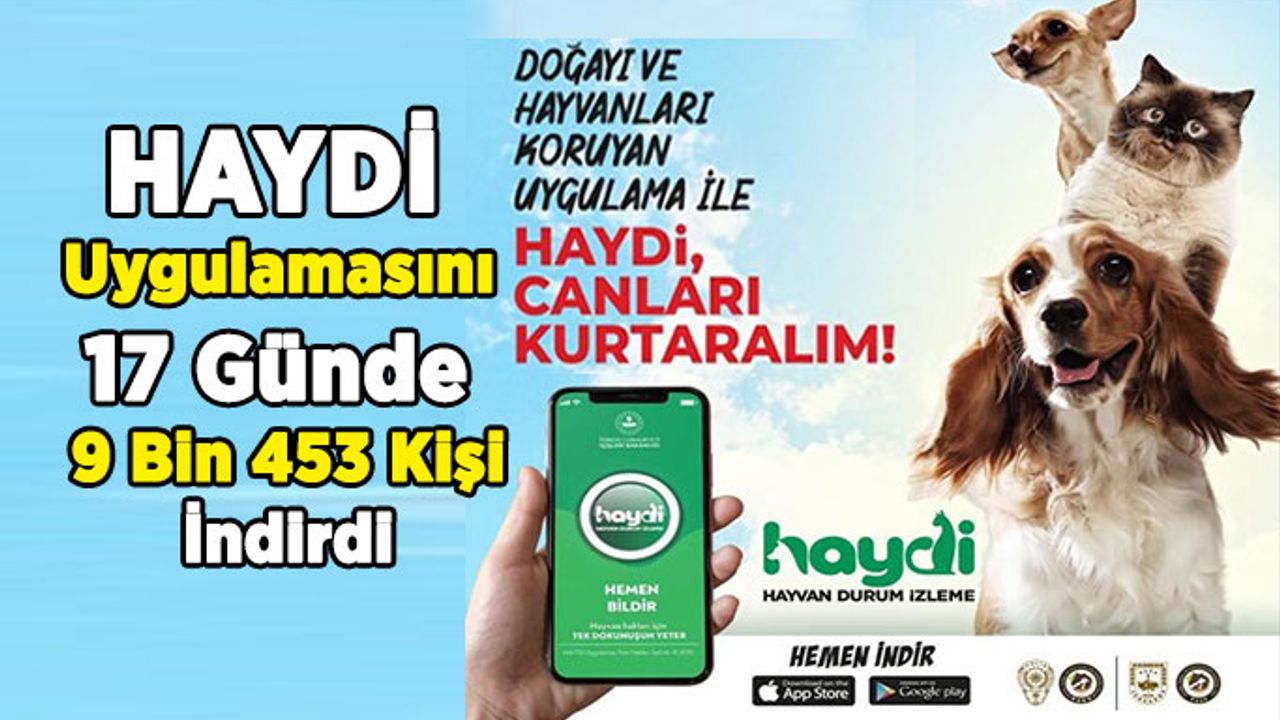 HAYDİ Uygulamasını 17 Günde 9 Bin 453 Kişi İndirdi