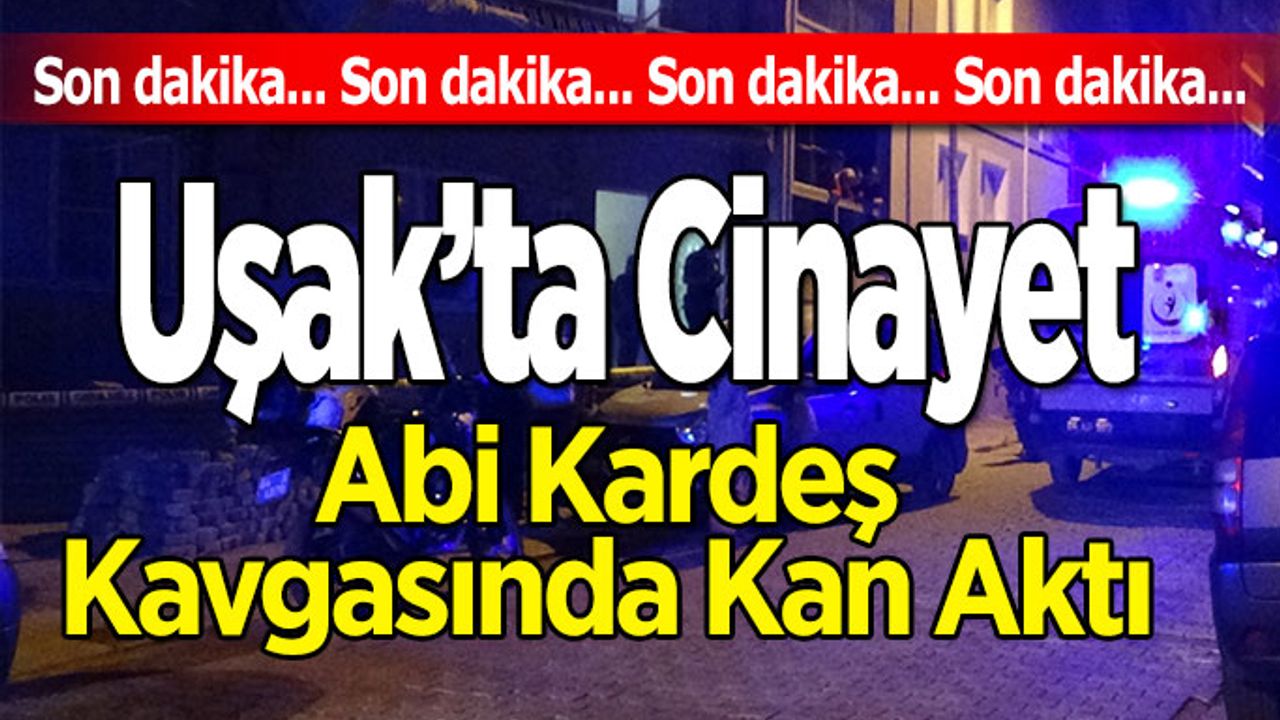 Uşak’ta Cinayet, Abi Kardeş Kavgasında Kan Aktı