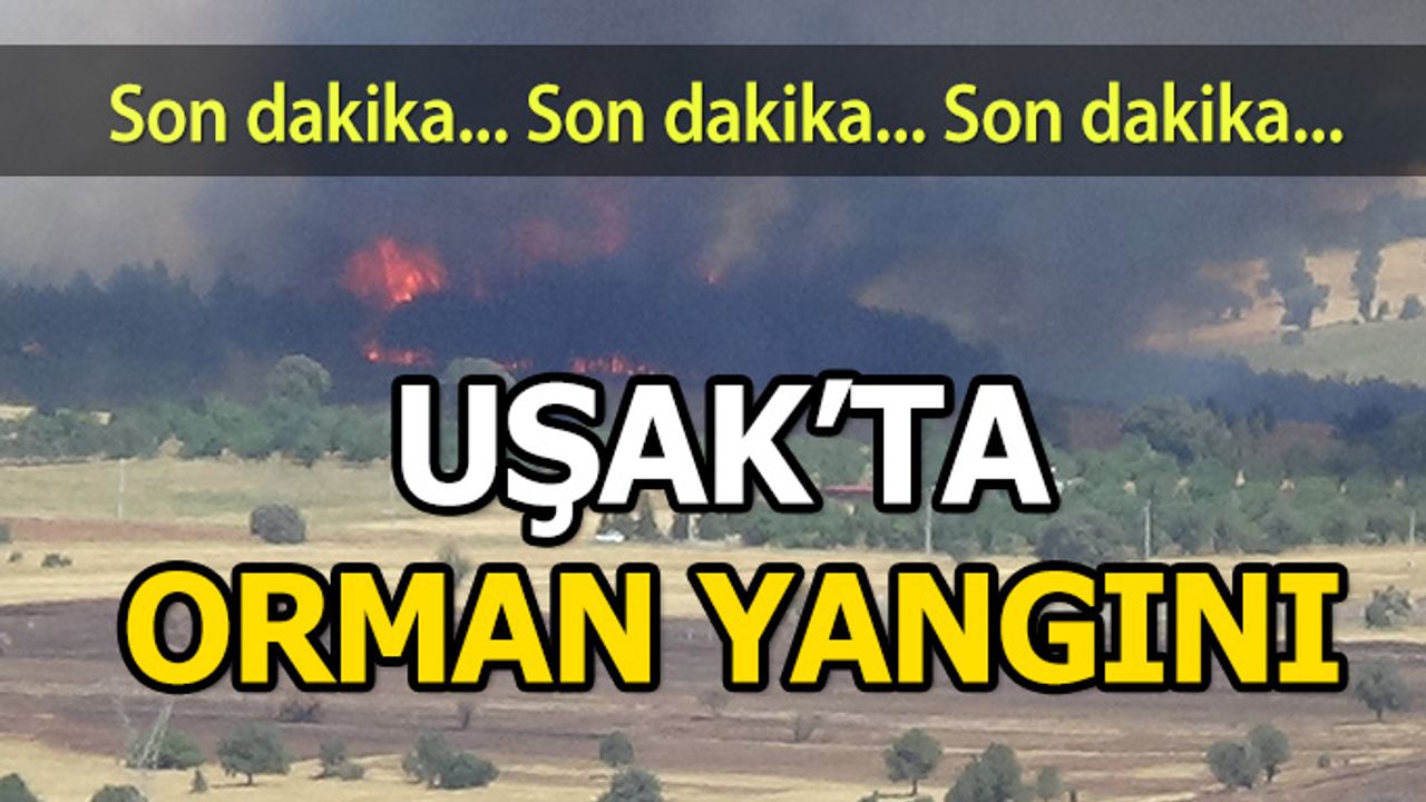 Uşak’ta Ki Orman Yangınlarını Söndürme Çalışmaları Devam Ediyor