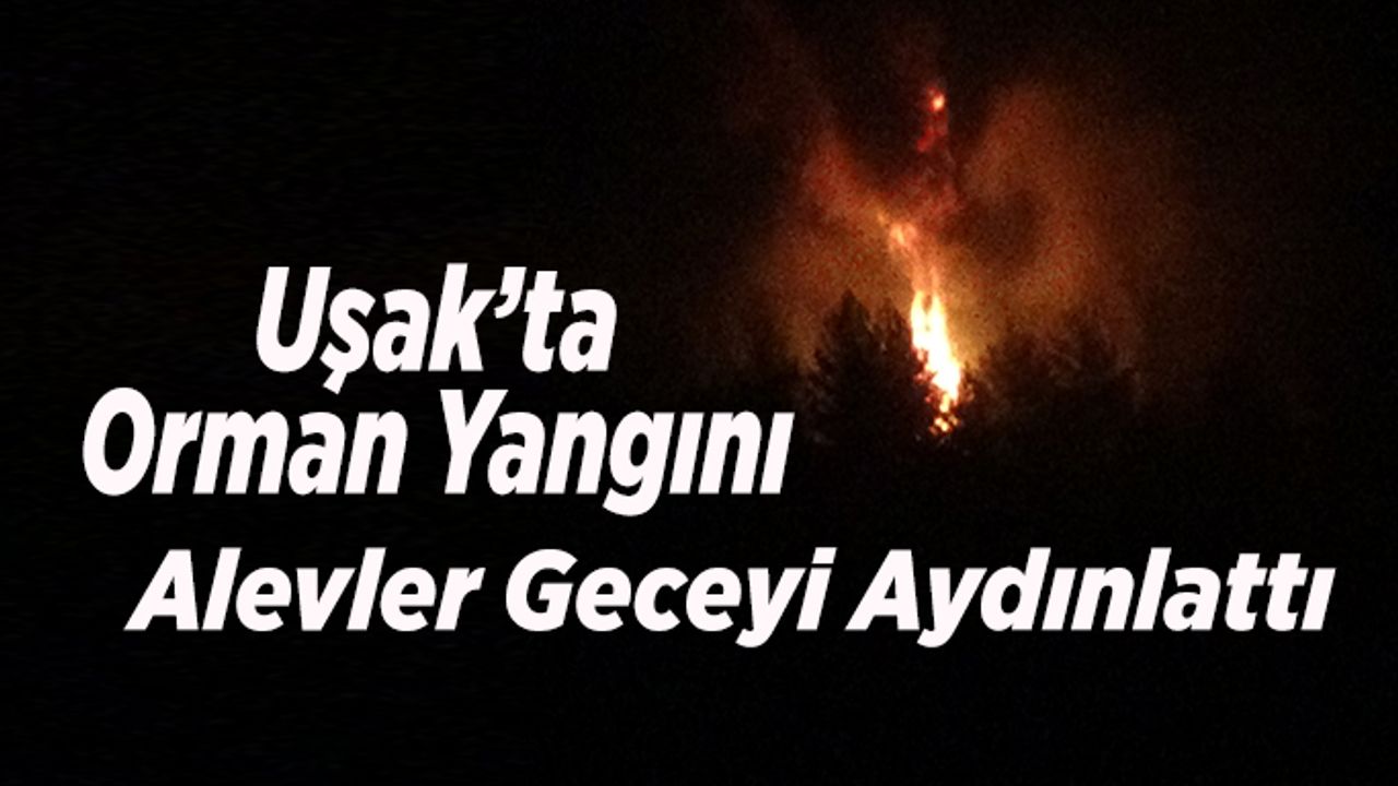 Uşak’ta Orman Yangını, Alevler Geceyi Aydınlattı