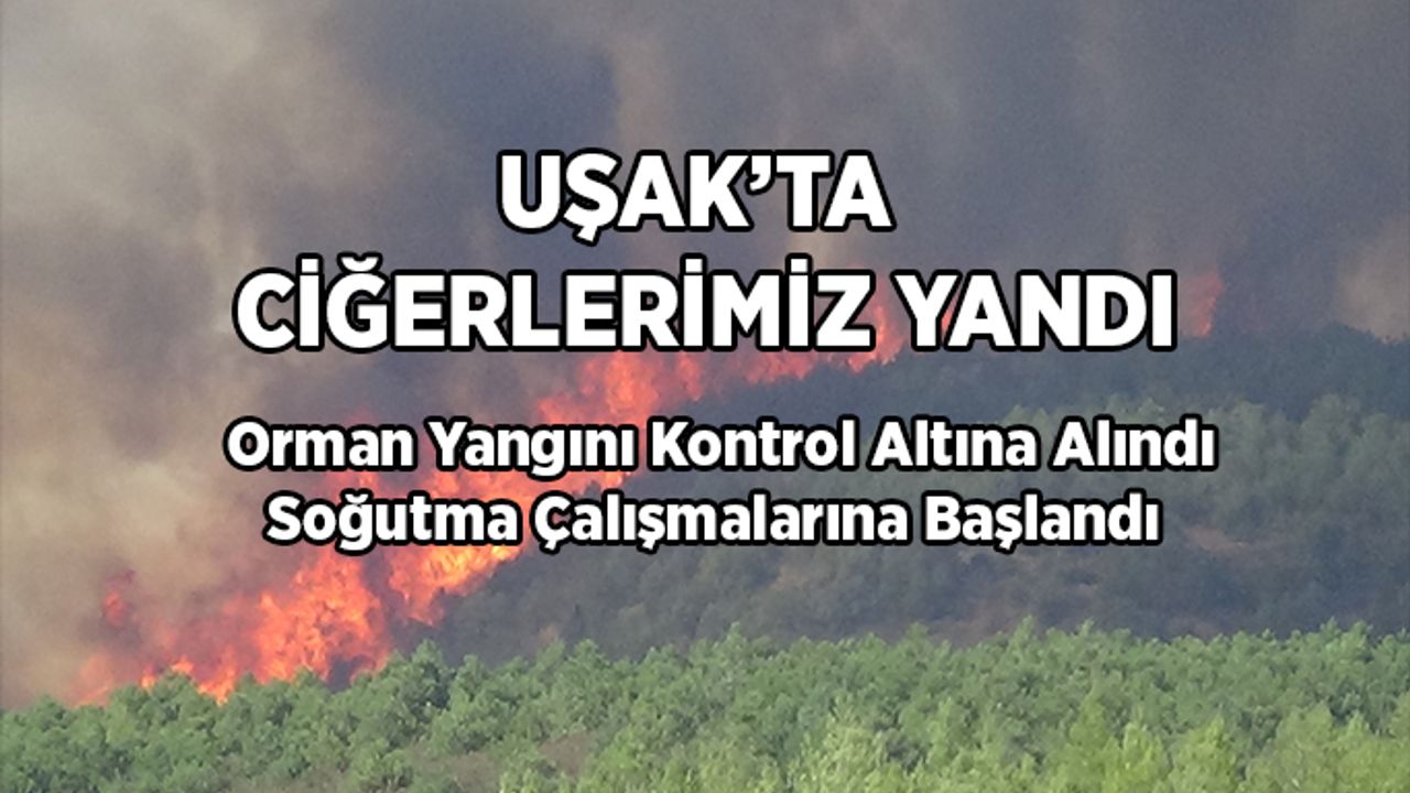 Uşak´taki orman yangında soğutma çalışmalarına başlandı