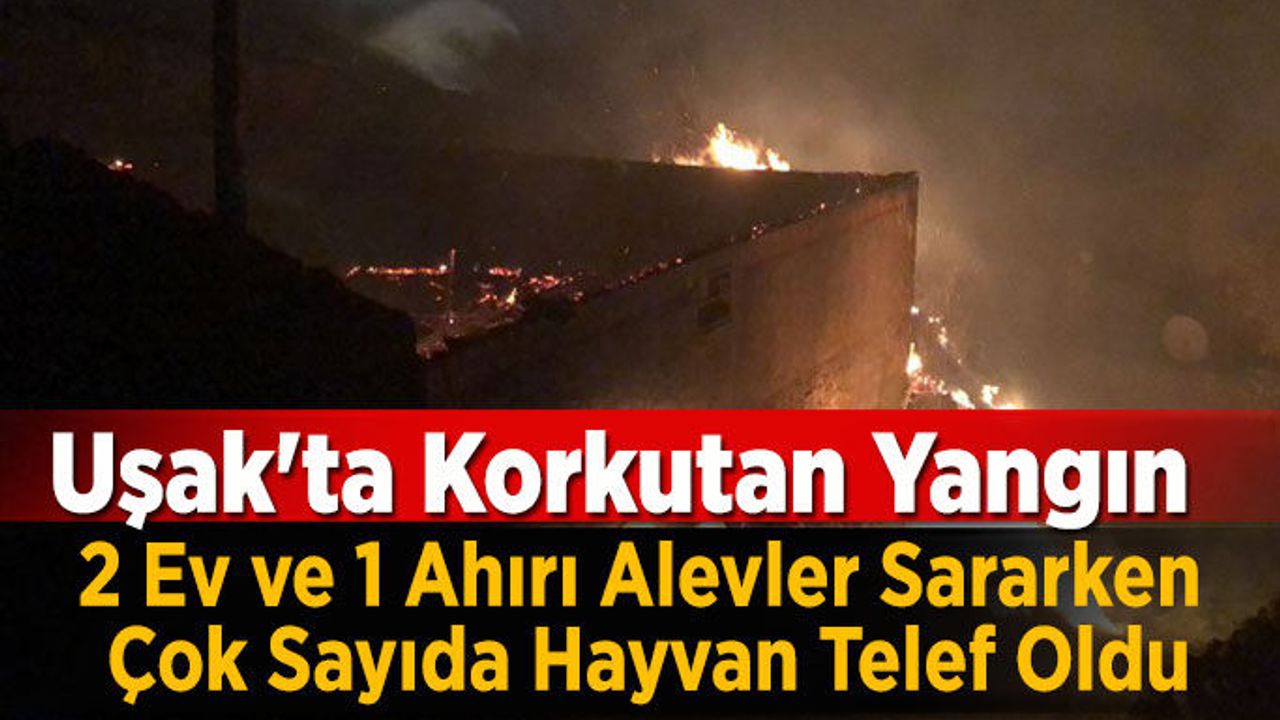 Uşak'ta Korkutan Yangın 2 Ev ve 1 Ahırı Alevler Sararken Çok Sayıda Hayvan Telef Oldu