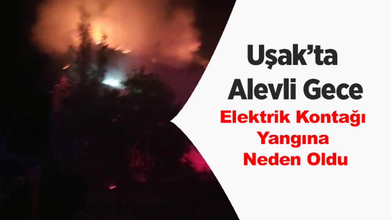 Uşak’ta Alevli Gece, Elektrik Kontağı Yangına Neden Oldu