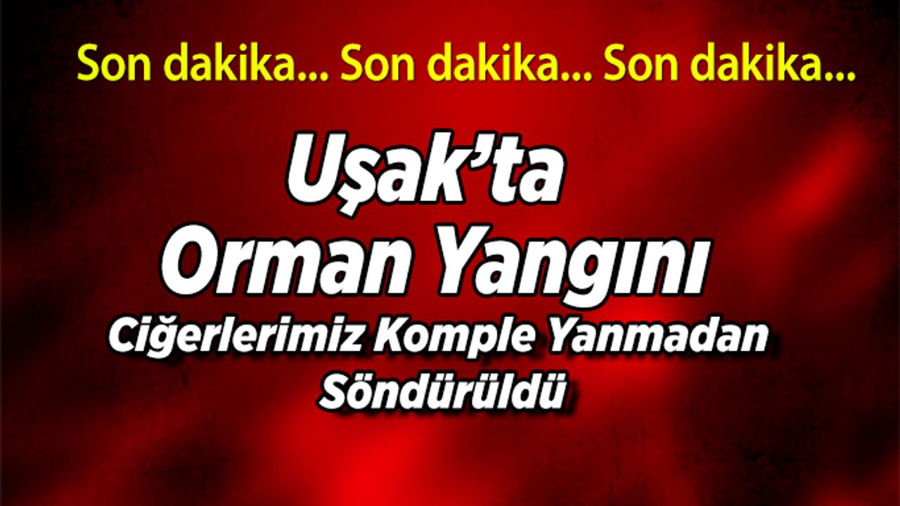 Uşak’ta Orman Yangını, Ciğerlerimiz Komple Yanmadan Söndürüldü