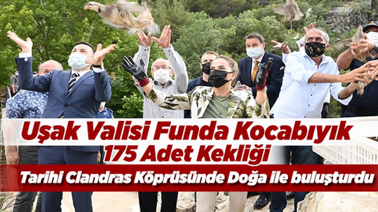 Uşak Valisi Funda Kocabıyık 175 Adet Kekliği Tarihi Clandras Köprüsünde Doğa ile buluşturdu