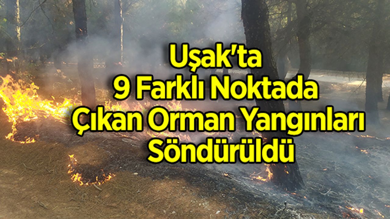 Uşak'ta 9 Farklı Noktada Çıkan Orman Yangınları Söndürüldü
