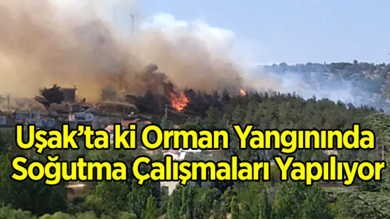 Uşak’ta ki Orman Yangını soğutma çalışmaları yapılıyor
