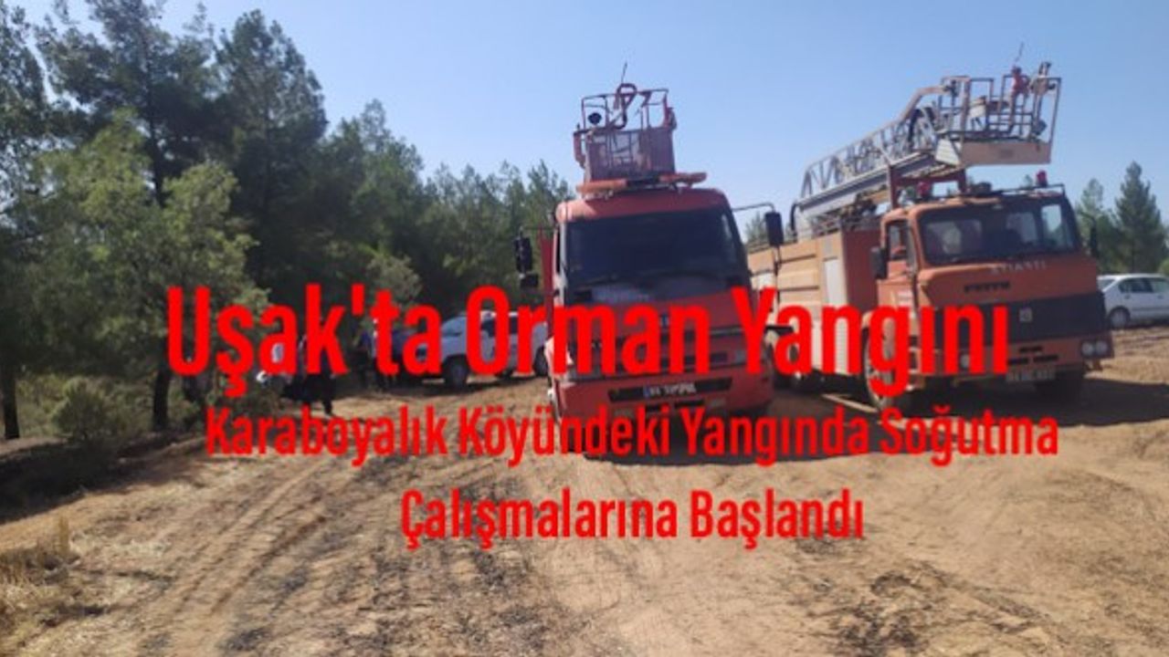 Uşak'ta orman yangını kontrol altına alındı