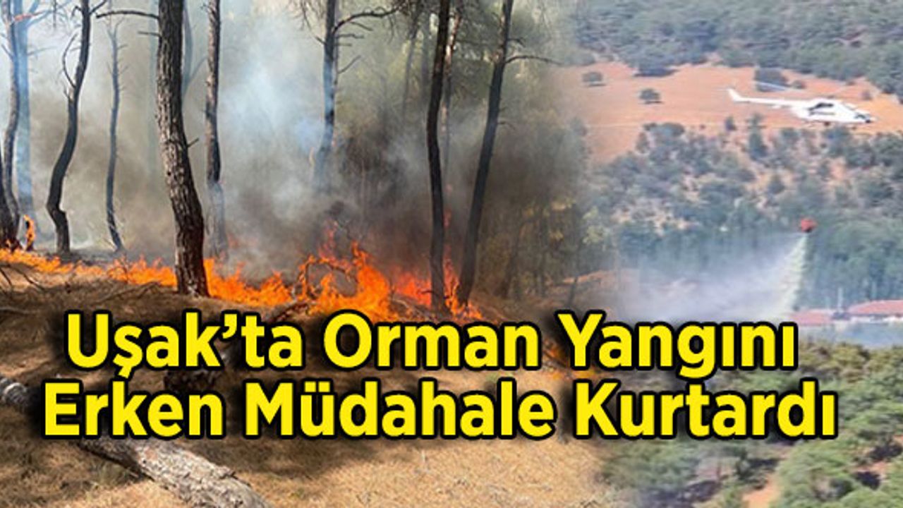 Uşak’ta Orman Yangını, Erken ve Etkin Müdahale Kurtardı