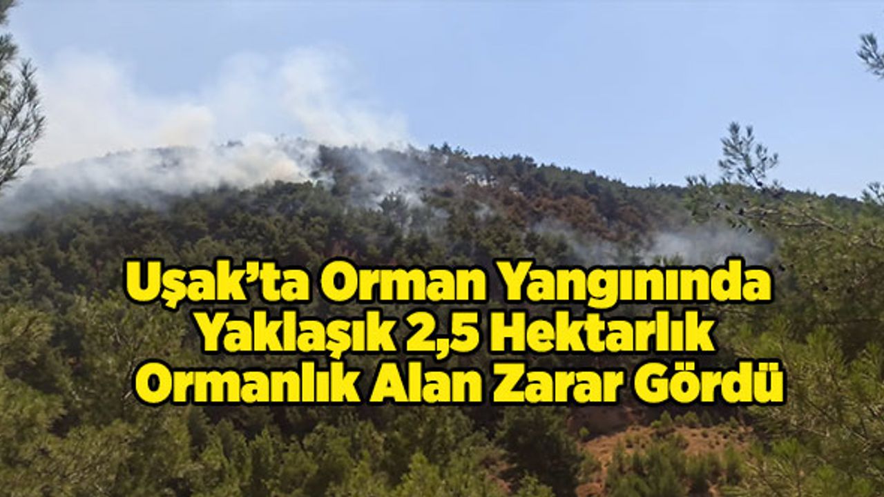 Uşak’ta Orman Yangınında Yaklaşık 2,5 Hektarlık Ormanlık Alan Zarar Gördü