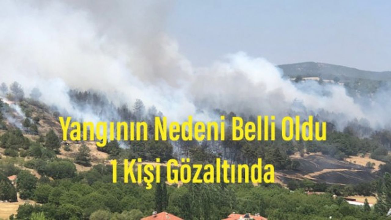Yangının çıkış nedeni belli oldu, 1 kişi gözaltında