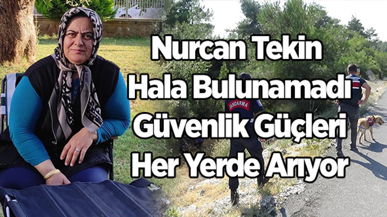 Uşak'ta Kaybolan Nurcan Tekin Hala Bulunamadı